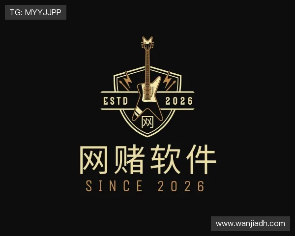 关于网赌软件